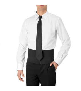 Cummerbund