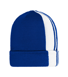 Winter Beanie