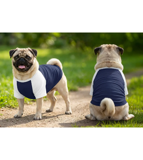 Dog's Raglan T-Shirt