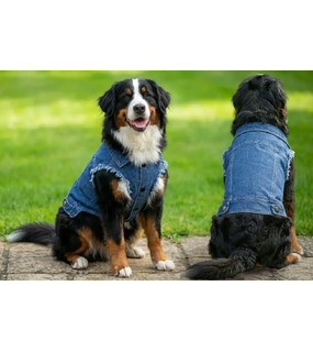 Dog's Denim Jacket