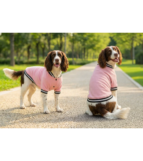 Dog's Varsity Jacket