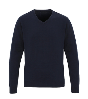 Essential V-Neck Sweater