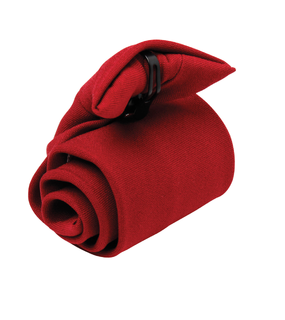 Clip Tie
